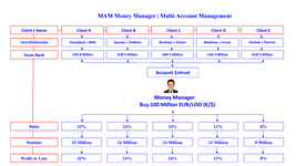 mam money manager en